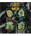 DELIRIUM SEEDS MIX DELIRIUM CRACK FAST 8UDS